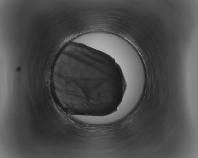 X0000084560434200703231803