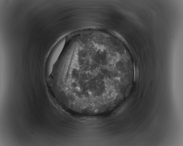 X0000084560435200703231803