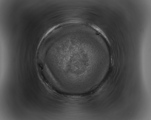 X0000084560436200703231803