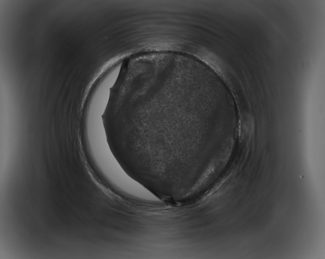 X0000084560438200703231803