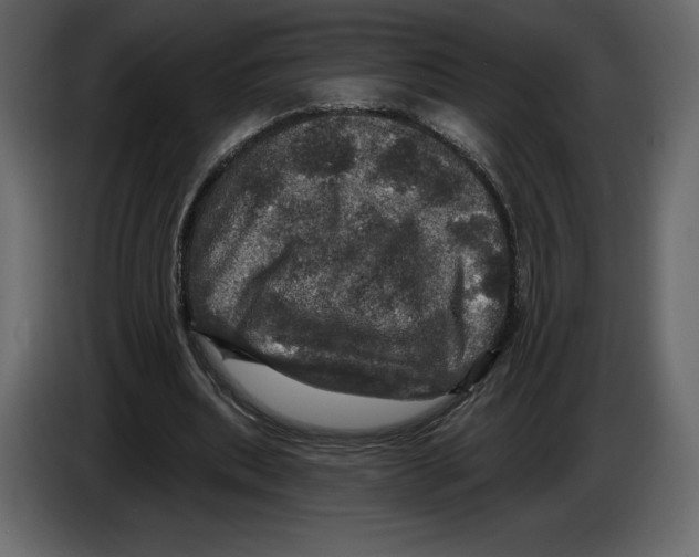 X0000084560439200703231803