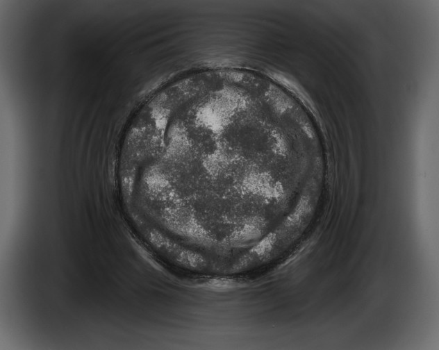 X0000084560441200703231803