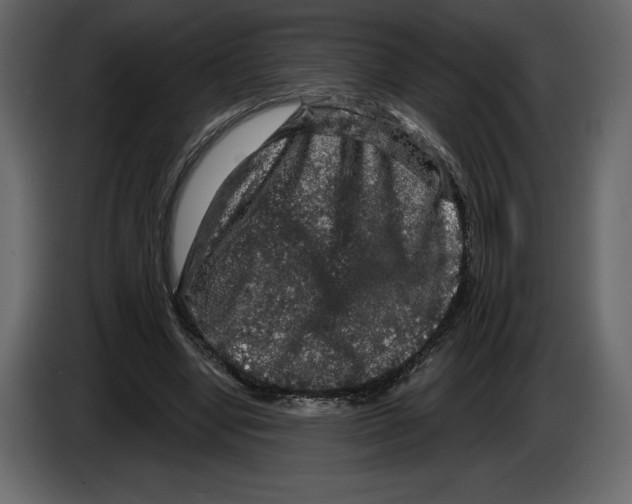 X0000084560442200703231803