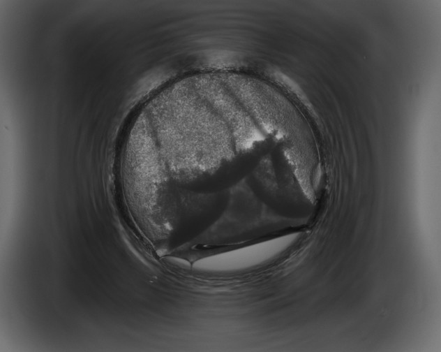 X0000084560443200703231803