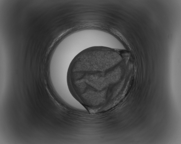 X0000084560444200703231803