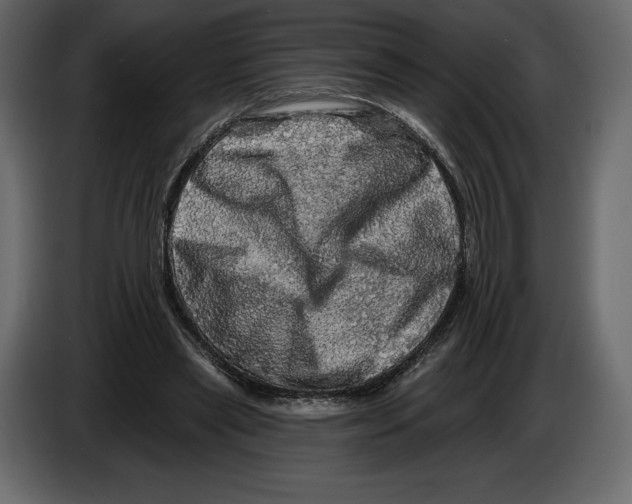 X0000084560445200703231803