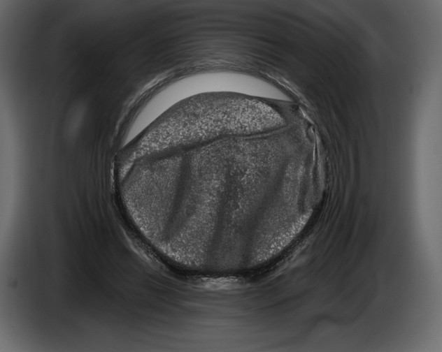 X0000084560446200703231803