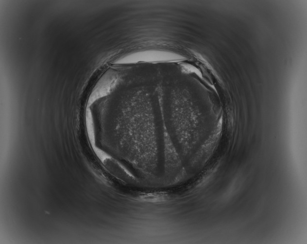 X0000084560447200703231803