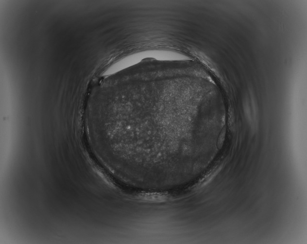 X0000084560449200703231803