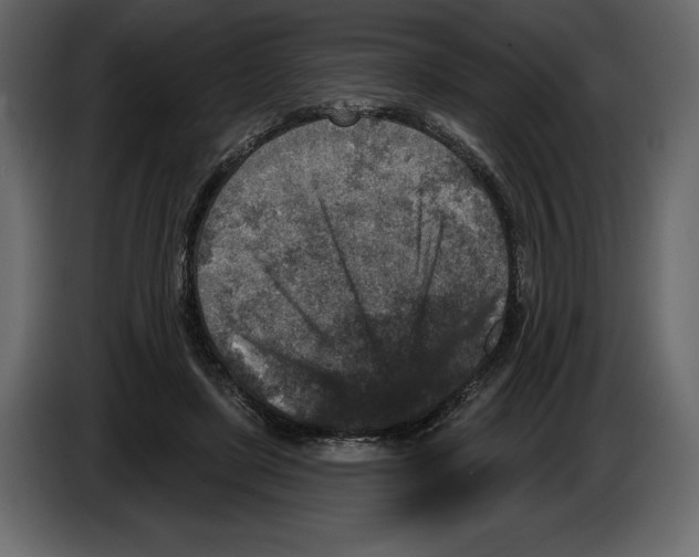 X0000084560451200703231803