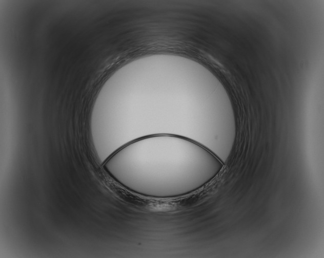 X0000084560452200703231803