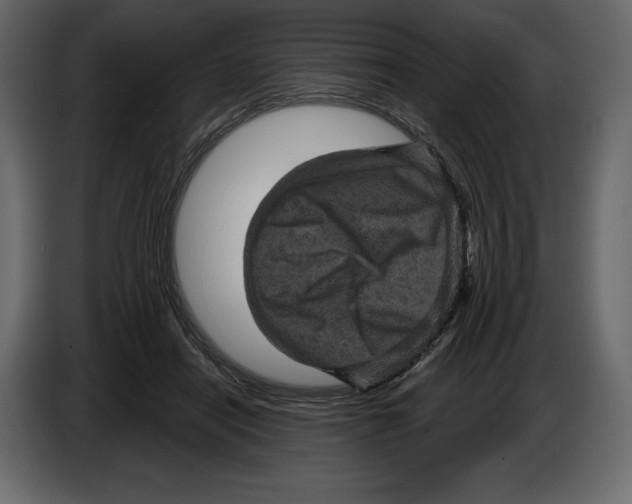 X0000084560454200703231803