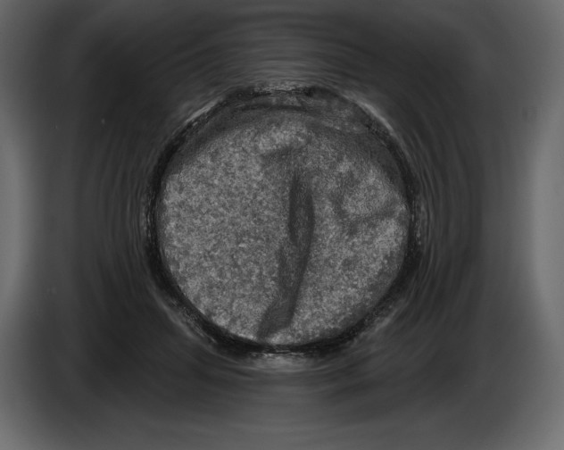 X0000084560455200703231803