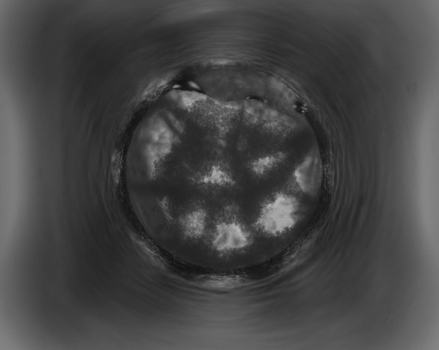 X0000084560458200703231803