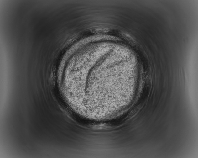 X0000084560460200703231803