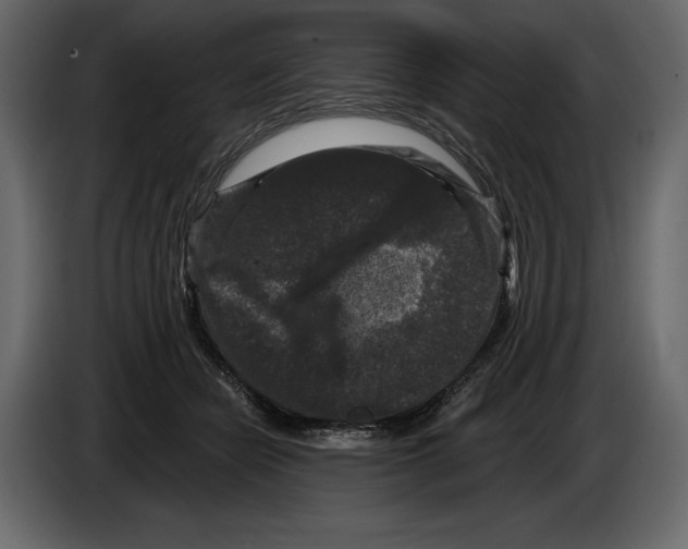 X0000084560462200703231803