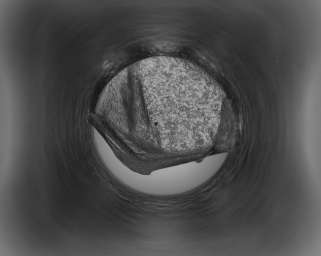 X0000084560464200703231803