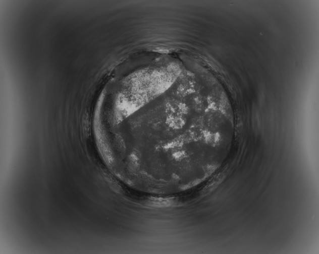 X0000084560469200703231803