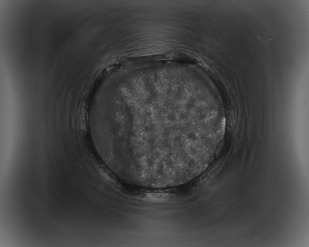 X0000084560470200703231803