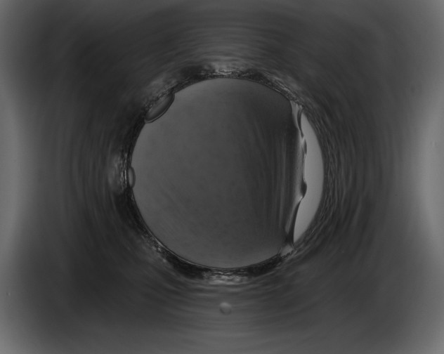 X0000084560471200703231803