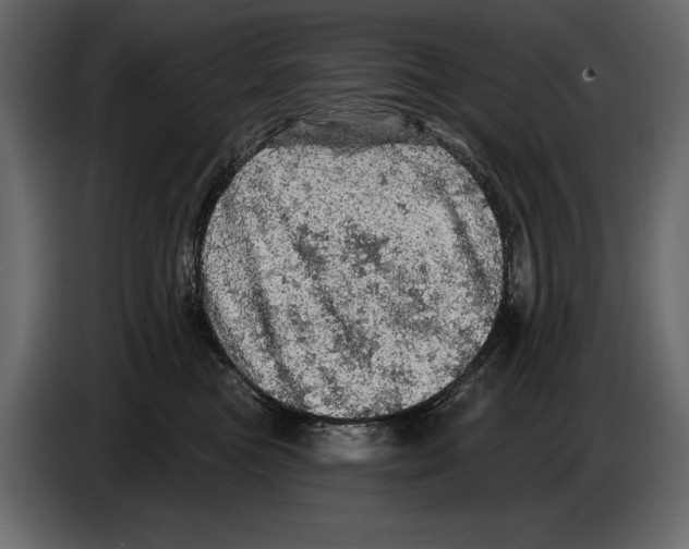 X0000084560473200703231803