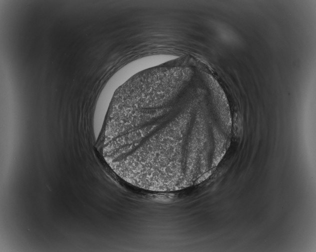 X0000084560474200703231803