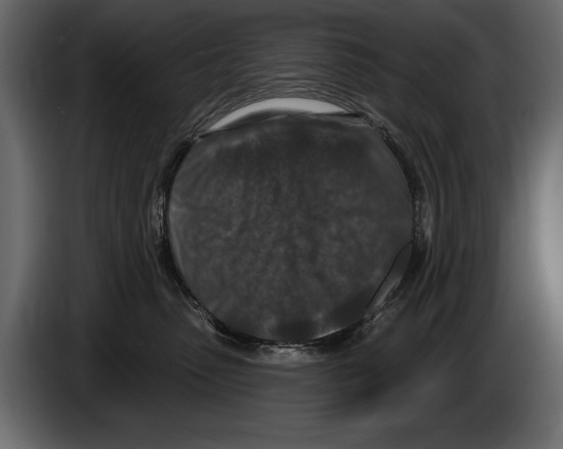 X0000084560475200703231803