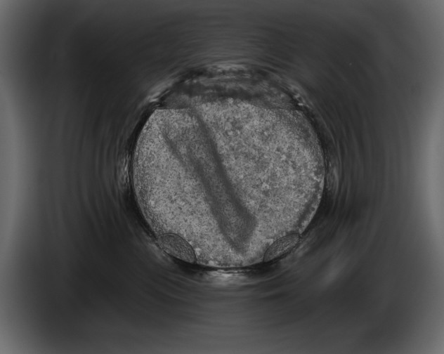 X0000084560477200703231803