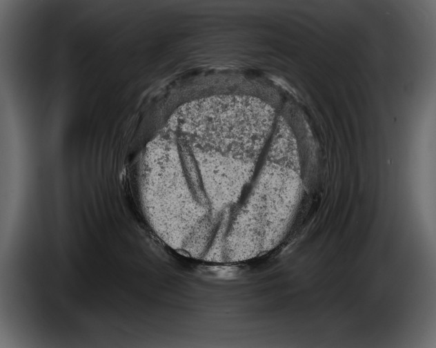 X0000084560478200703231803