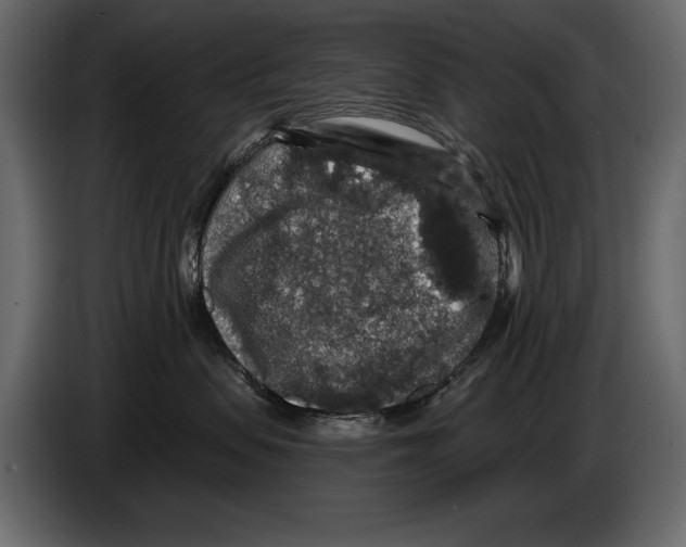 X0000084560479200703231803