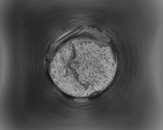 X0000084560480200703231803