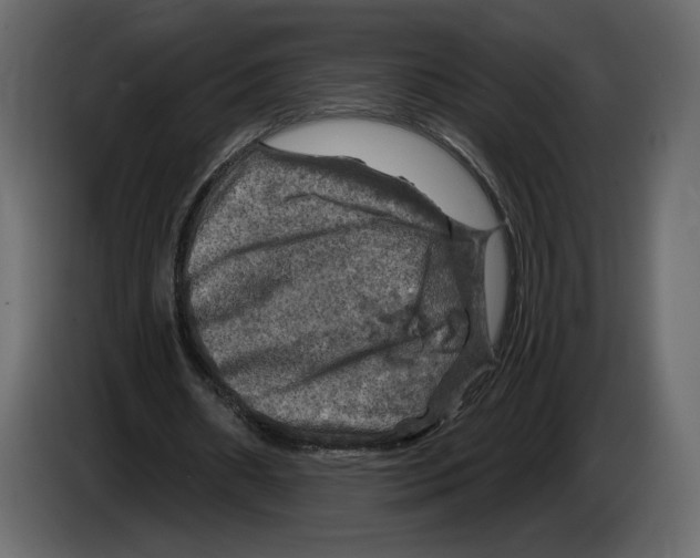 X0000084560482200703231802