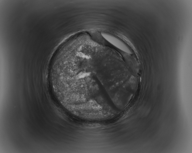 X0000084560483200703231802