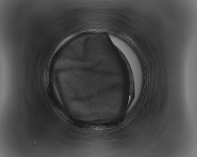 X0000084560484200703231802