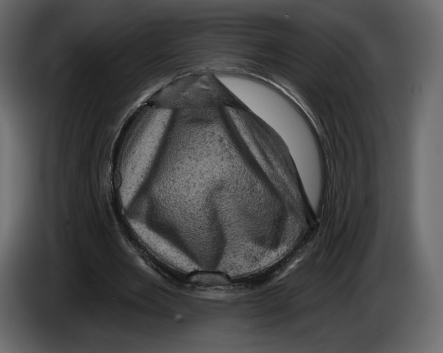 X0000084560485200703231802