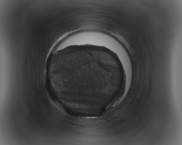 X0000084560488200703231802