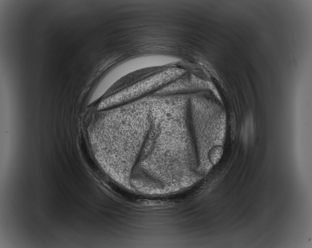 X0000084560490200703231802