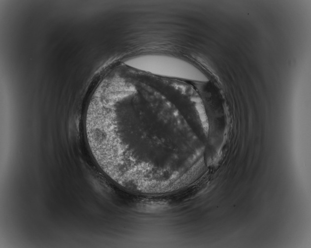 X0000084560491200703231802