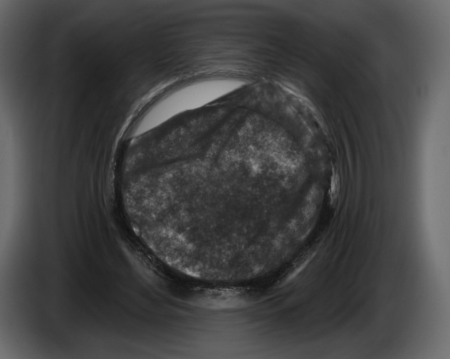 X0000084560492200703231802