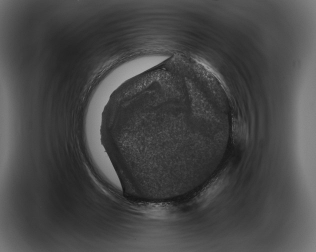 X0000084560493200703231802