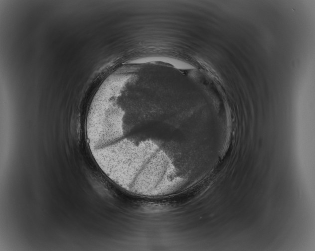 X0000084560494200703231802