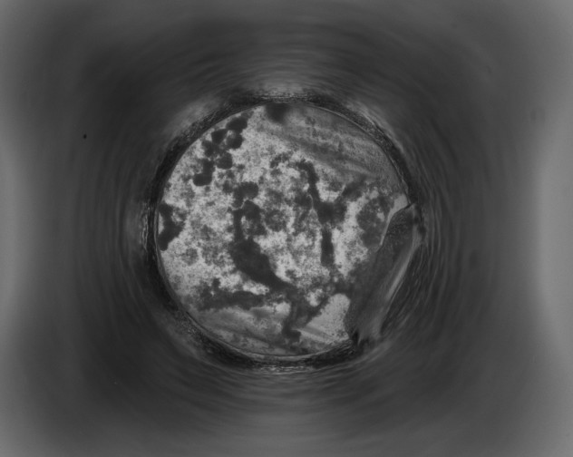 X0000084560495200703231802