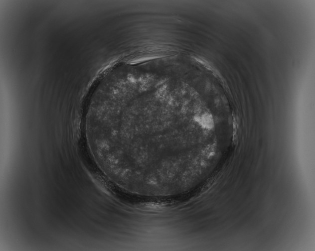 X0000084560496200703231802