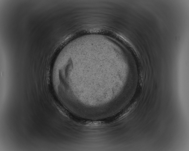 X0000084560497200703231802