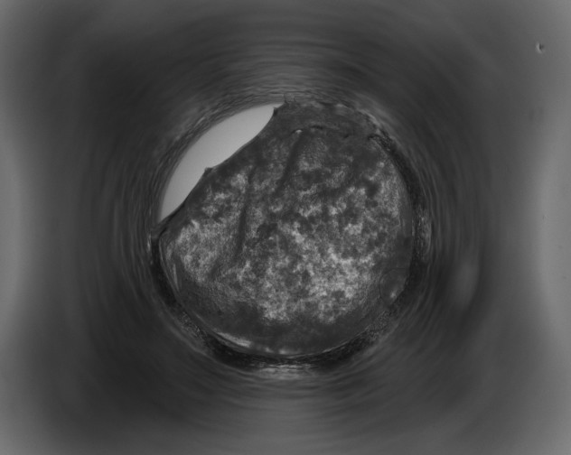 X0000084560499200703231802