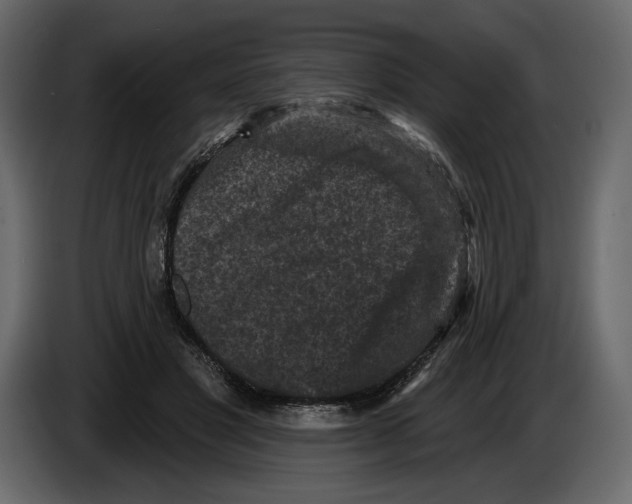 X0000084560501200703231802