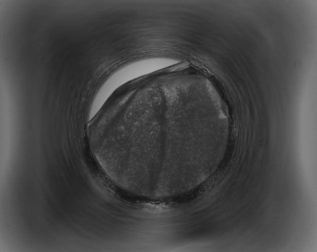 X0000084560502200703231802