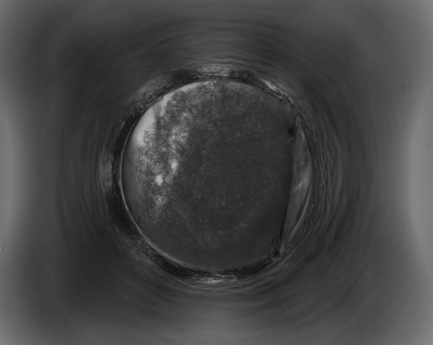 X0000084560504200703231802