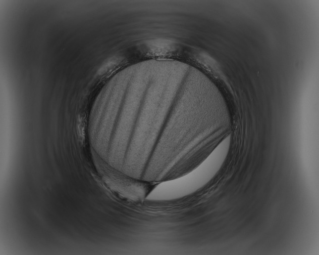 X0000084560505200703231802