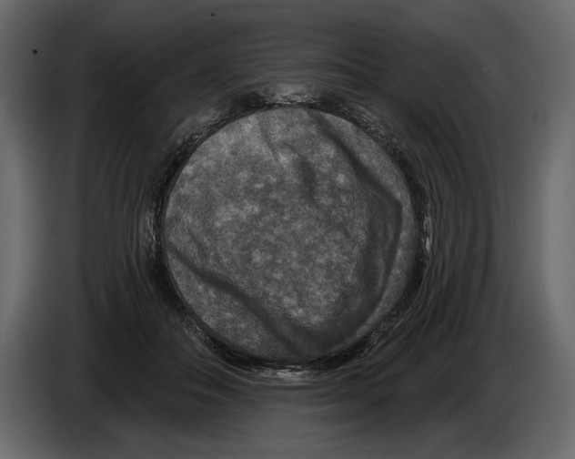 X0000084560506200703231802